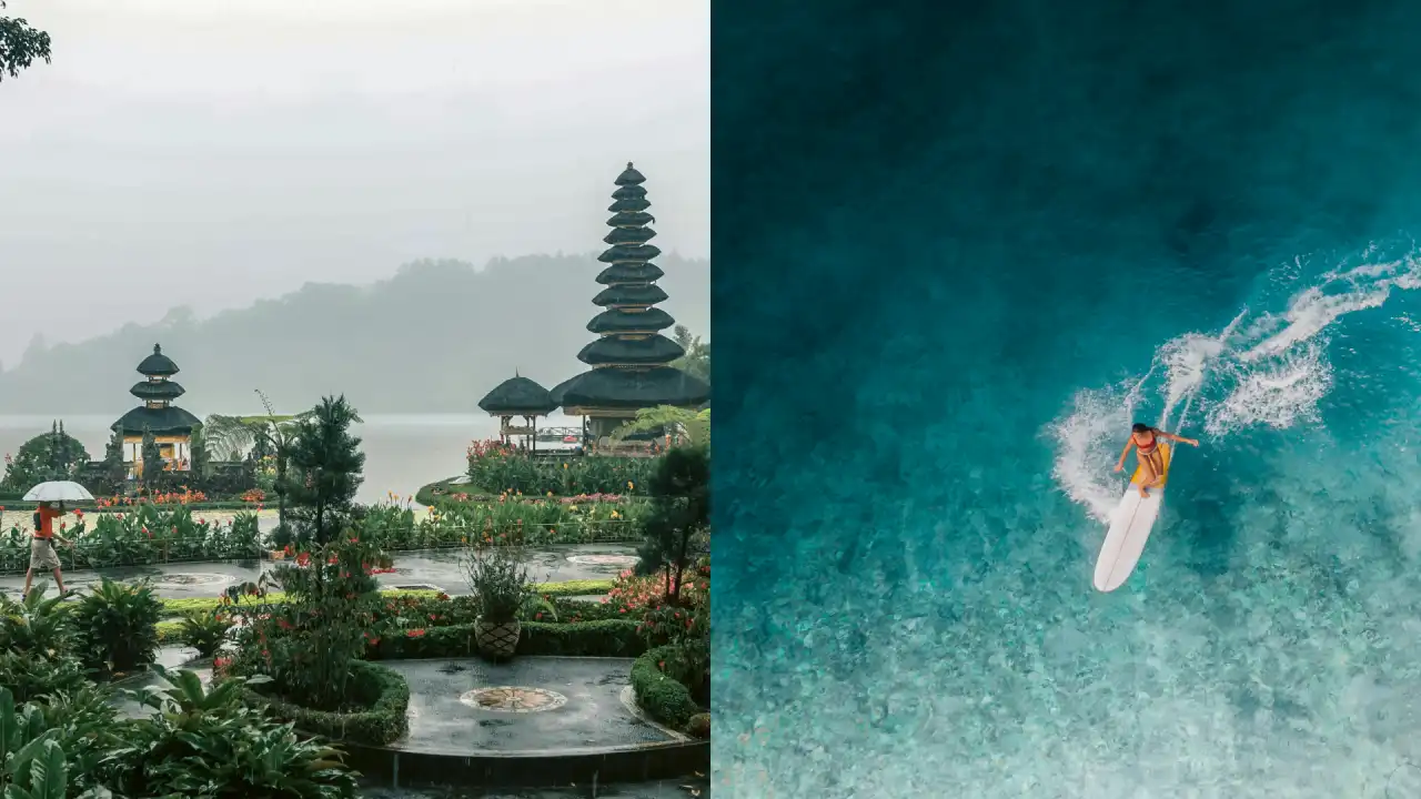 Bali South vs North Bali: Which Region Offers the Better Experience?