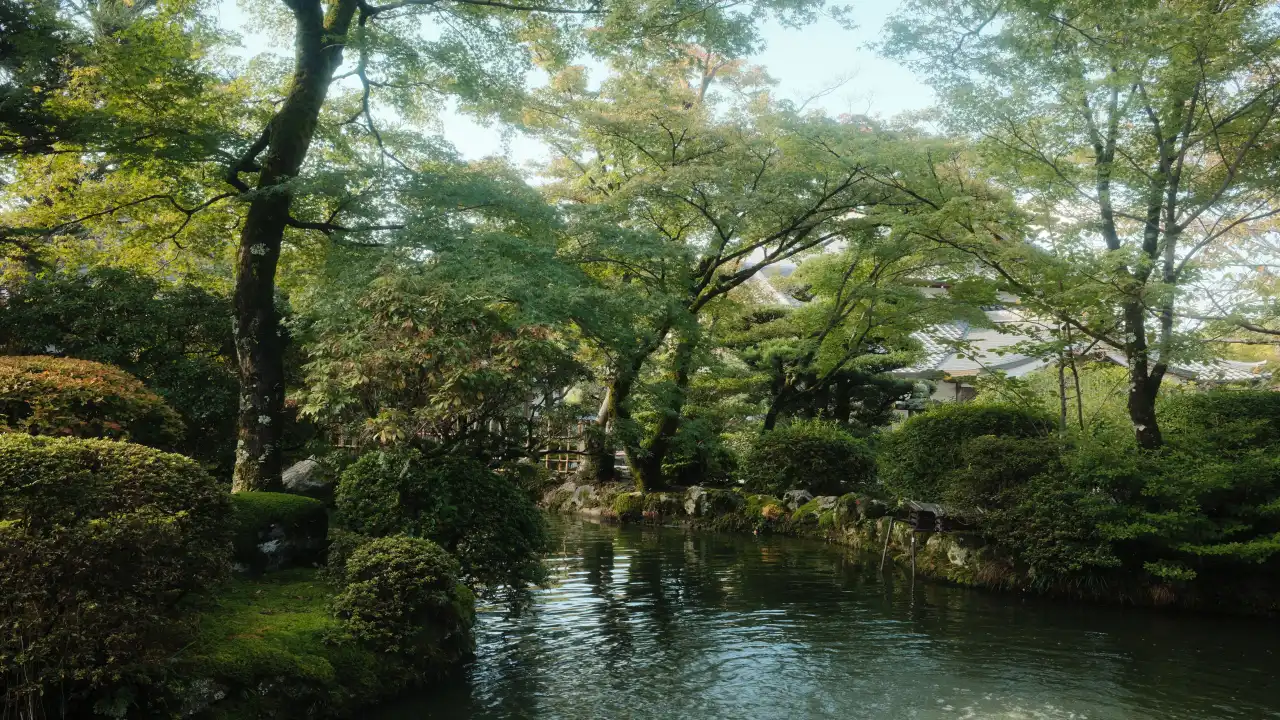 Peaceful Gardens in Kyoto Worth Visiting