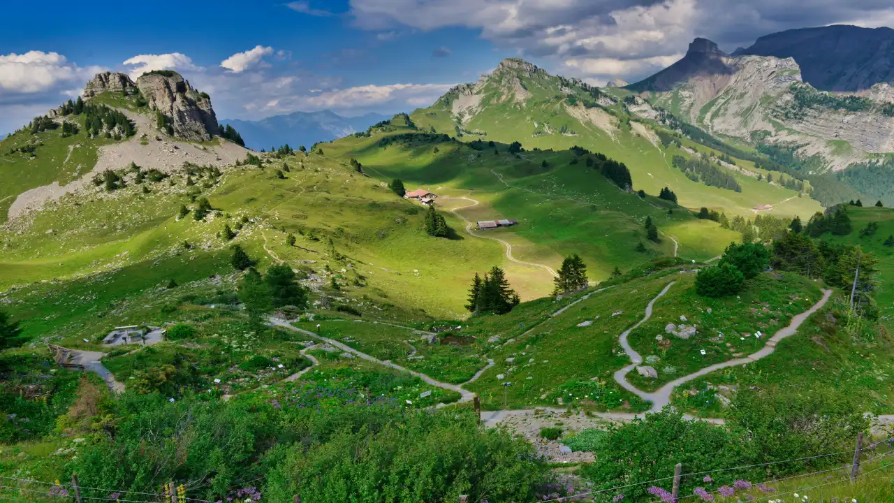 Scenic Roads in Switzerland Perfect for Slow Travel