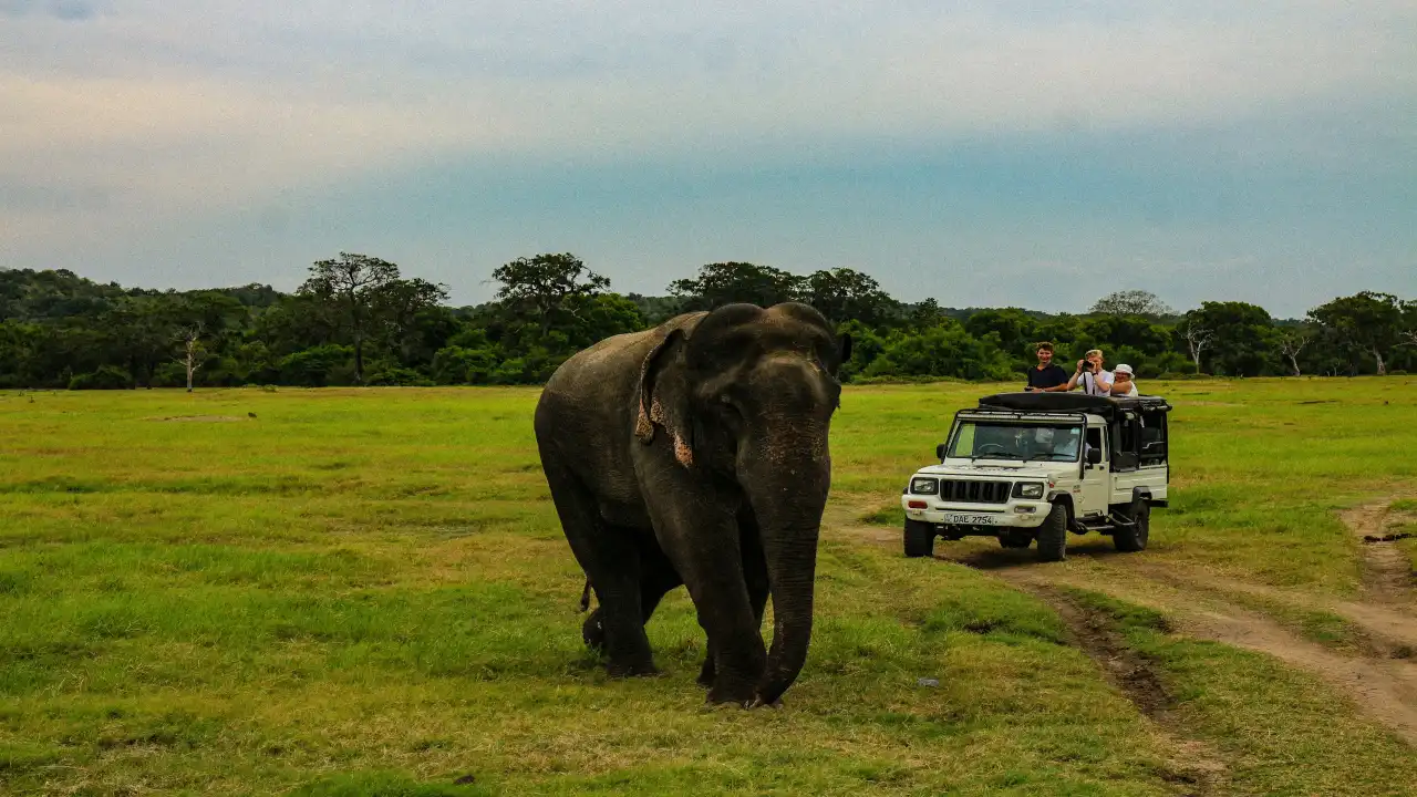 Sri Lanka Destinations Perfect for Slow Travel