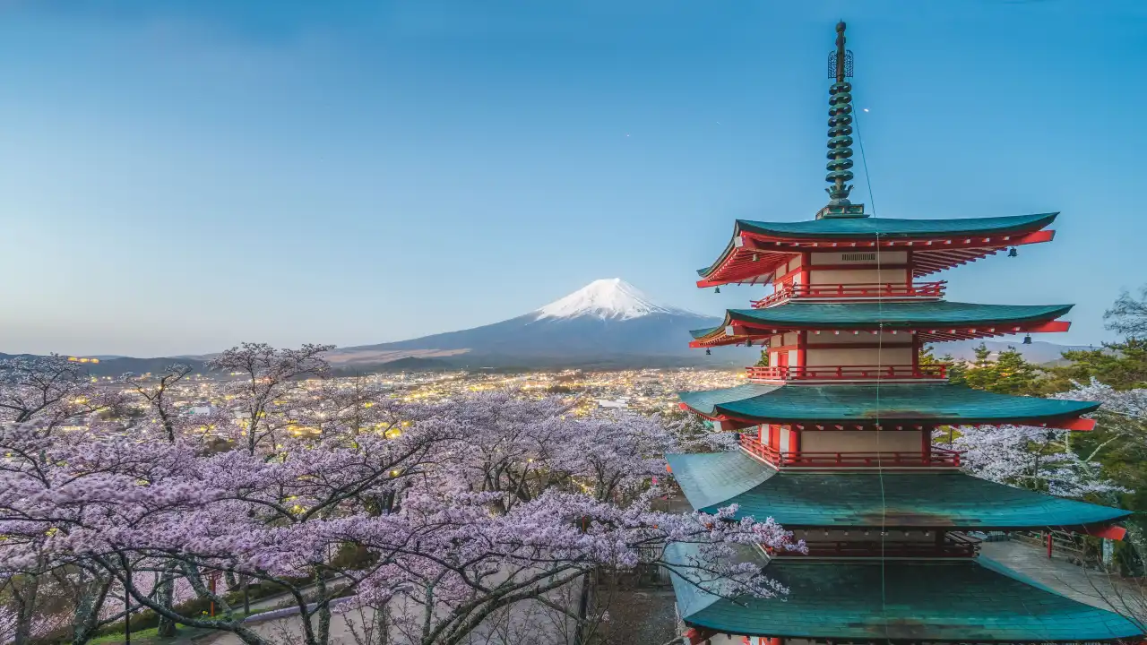 5 Beautiful Shrines in Japan Every Traveler Should Visit