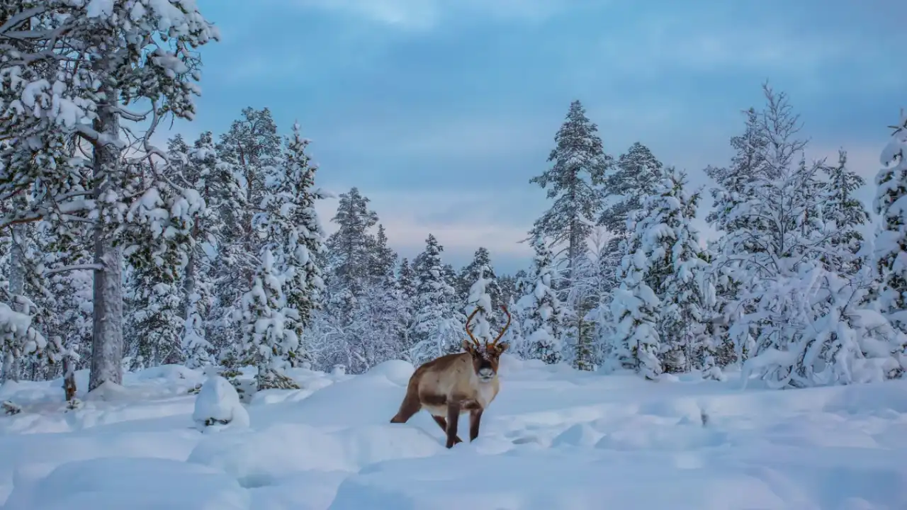 Winter Is Coming: 10 International Trips Indians Should Book Now