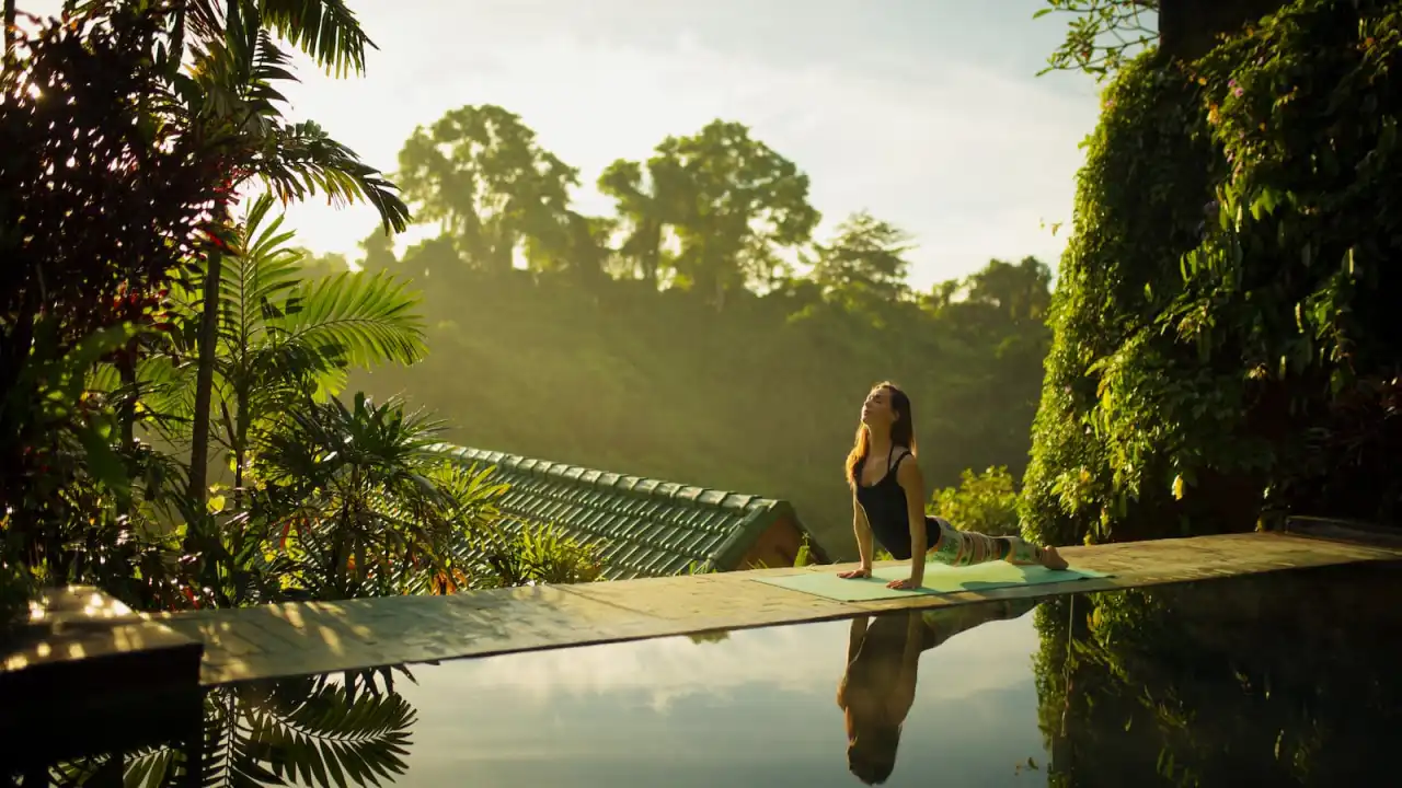Yoga Retreats in India: Where Should You Go for Your First One?
