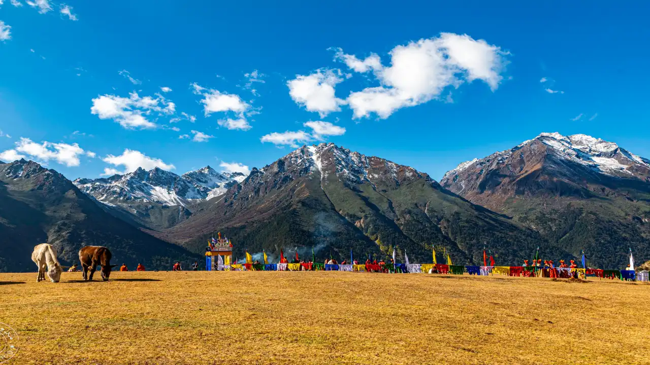 If You Want Your Next Holiday to Actually Feel Different, Book Bhutan