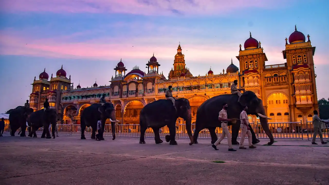 Mysuru: A Royal Celebration