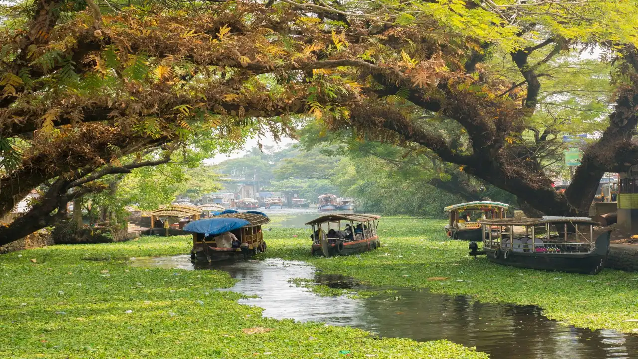 Kerala: Backwaters, Wellness And Slow Mornings