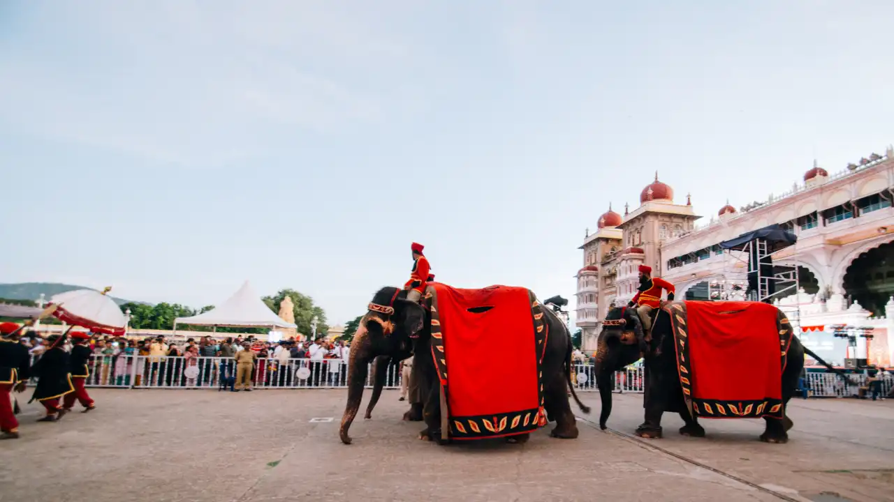 Why Is Mysore Dasara One Of India's Most Spectacular Festivals?