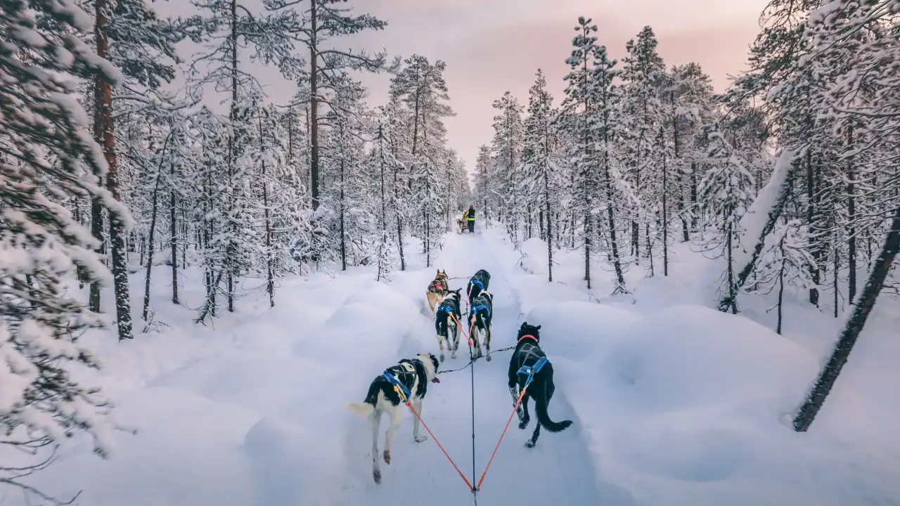  Finland