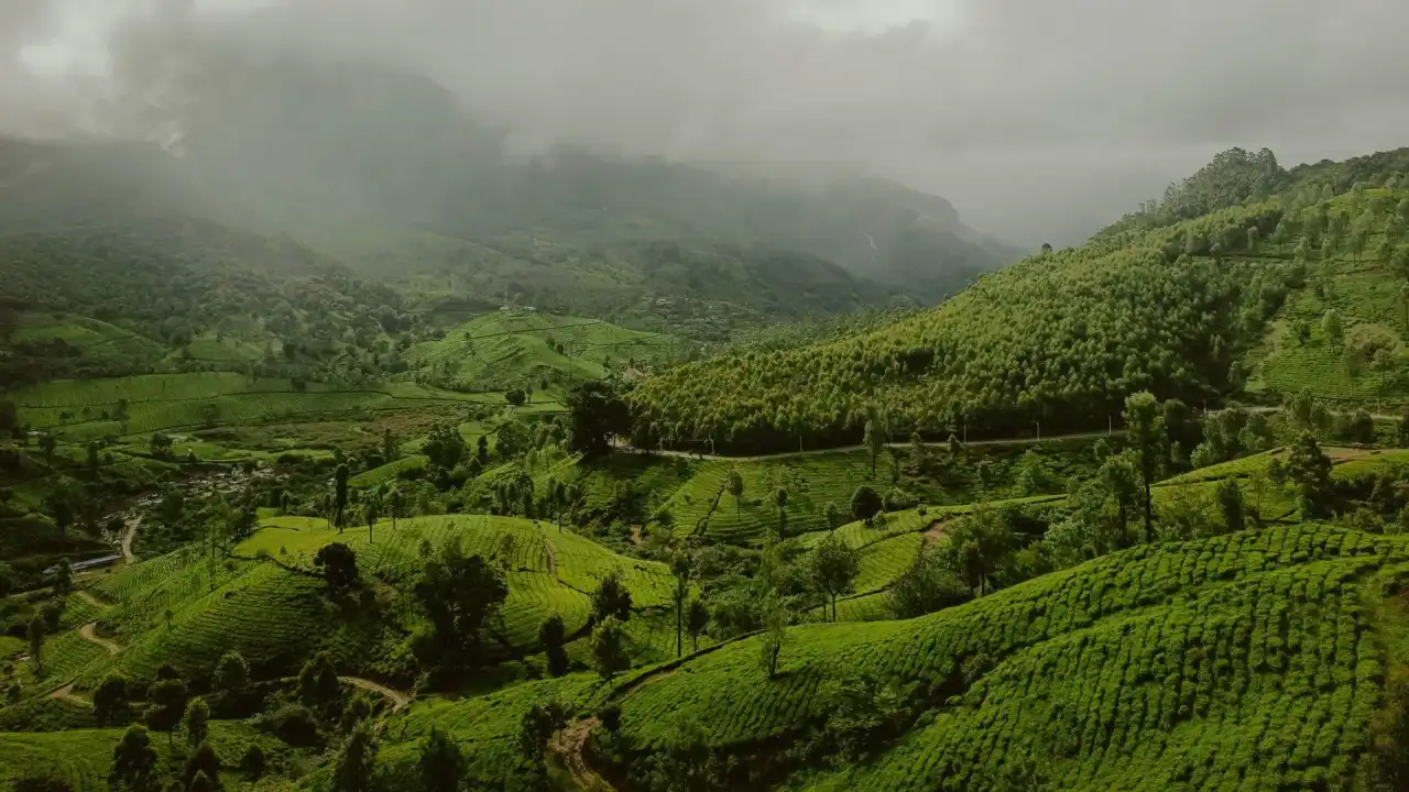 Munnar: For Green Hills and a Peaceful Holiday