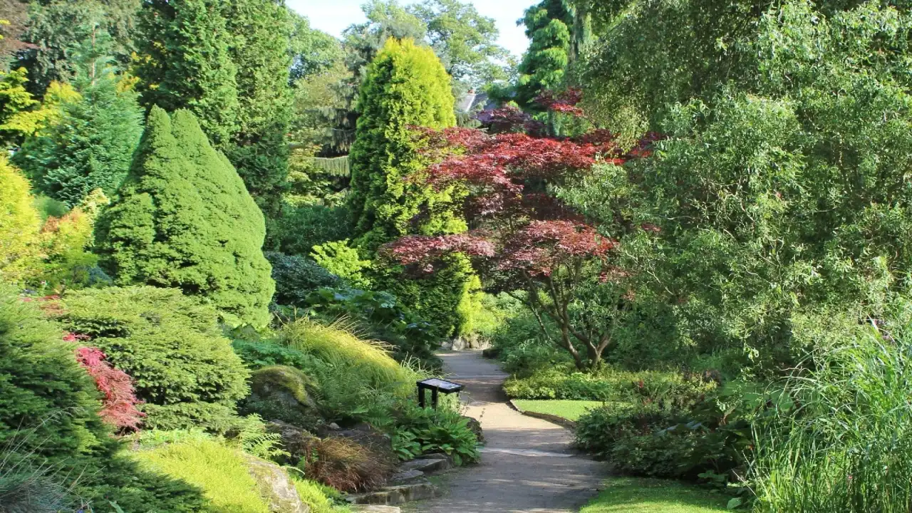 Fletcher Moss Botanical Gardens