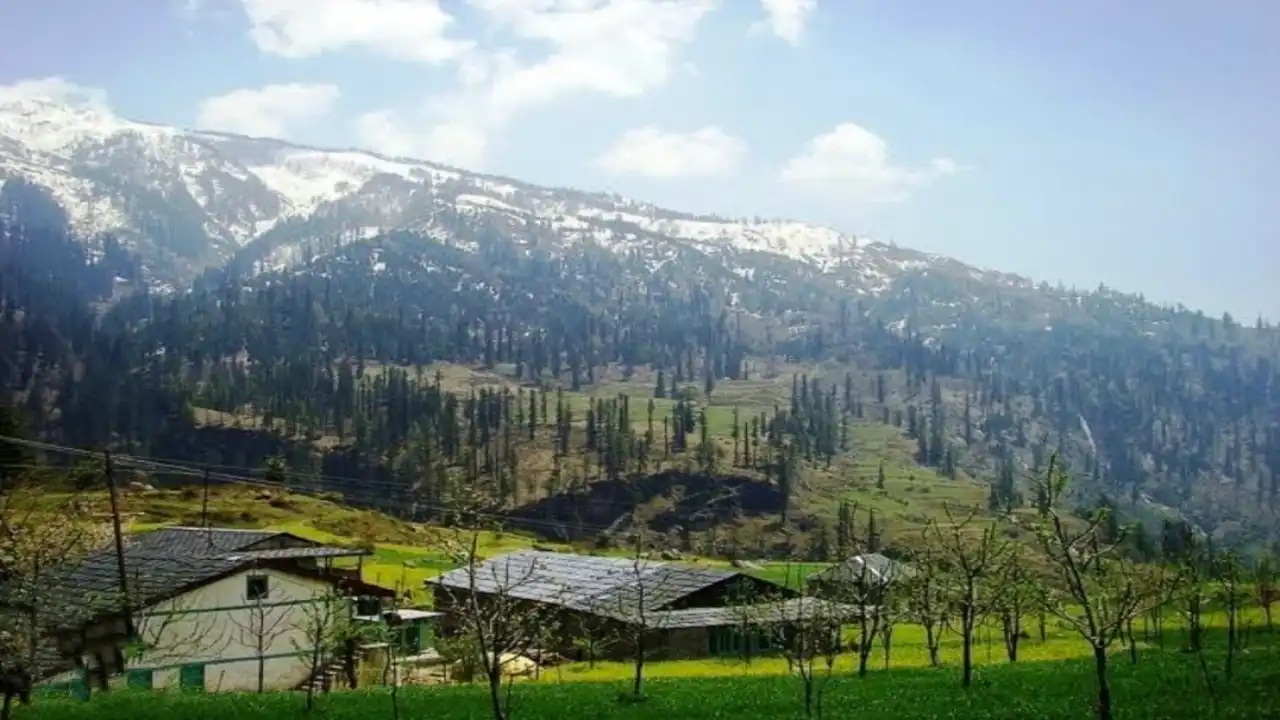 Gulaba