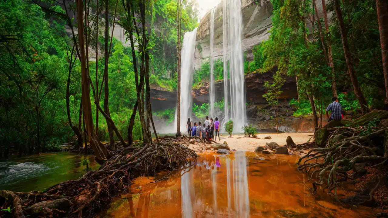 Khao Yai National Park 2026: Attractions, Activities and Travel Tips