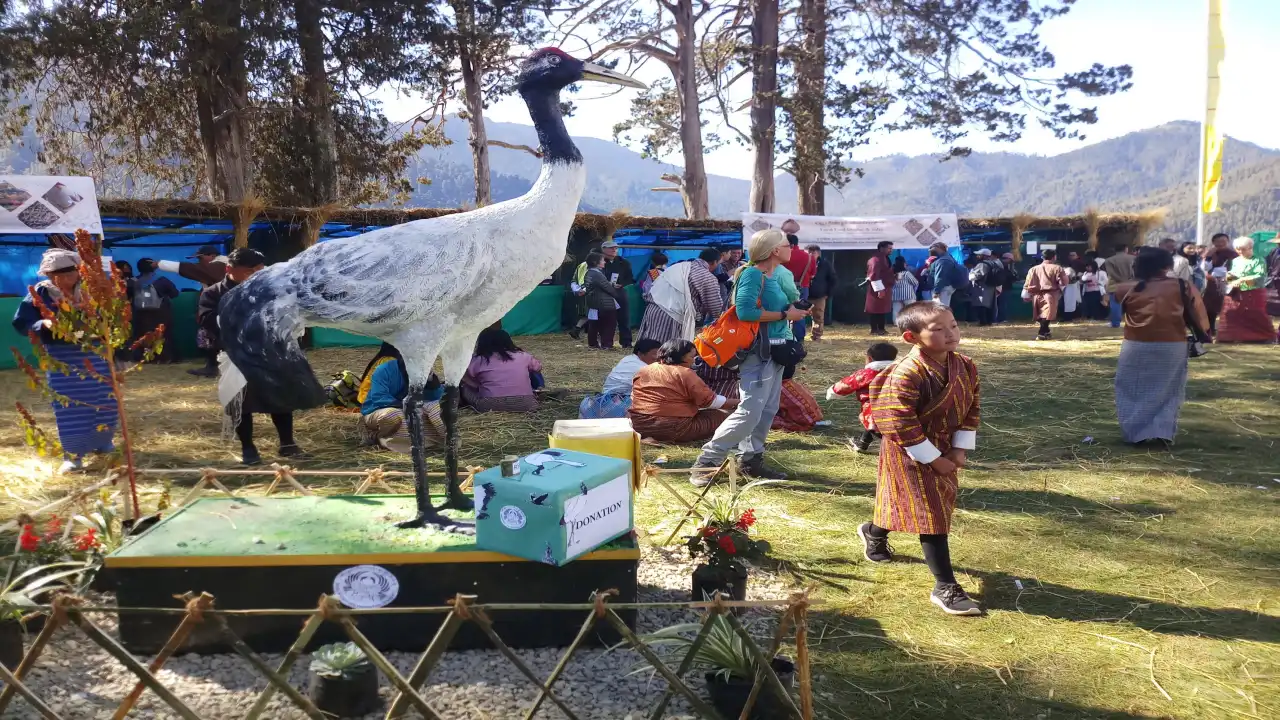 Why Is Phobjikha Important for Black-Necked Cranes?