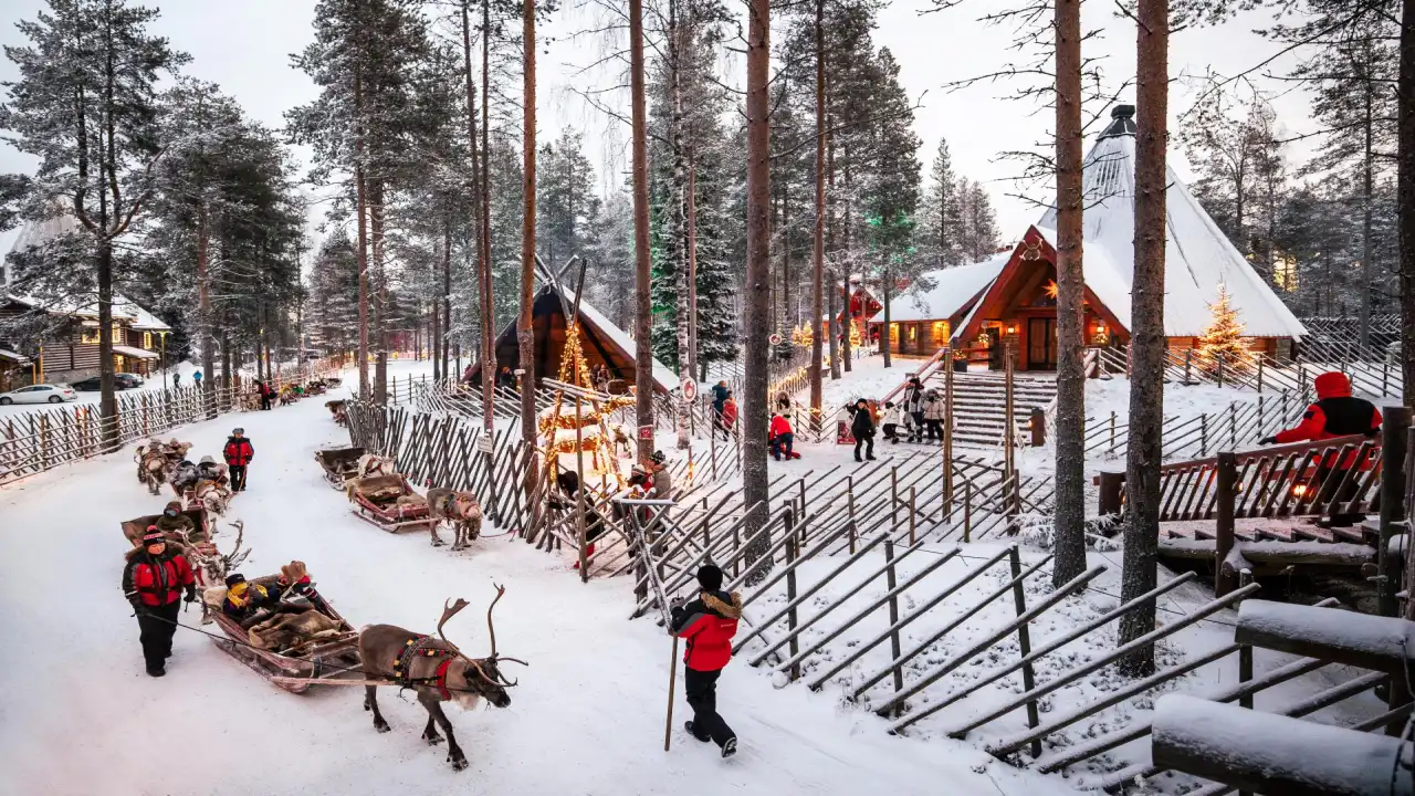 Reindeer Rides