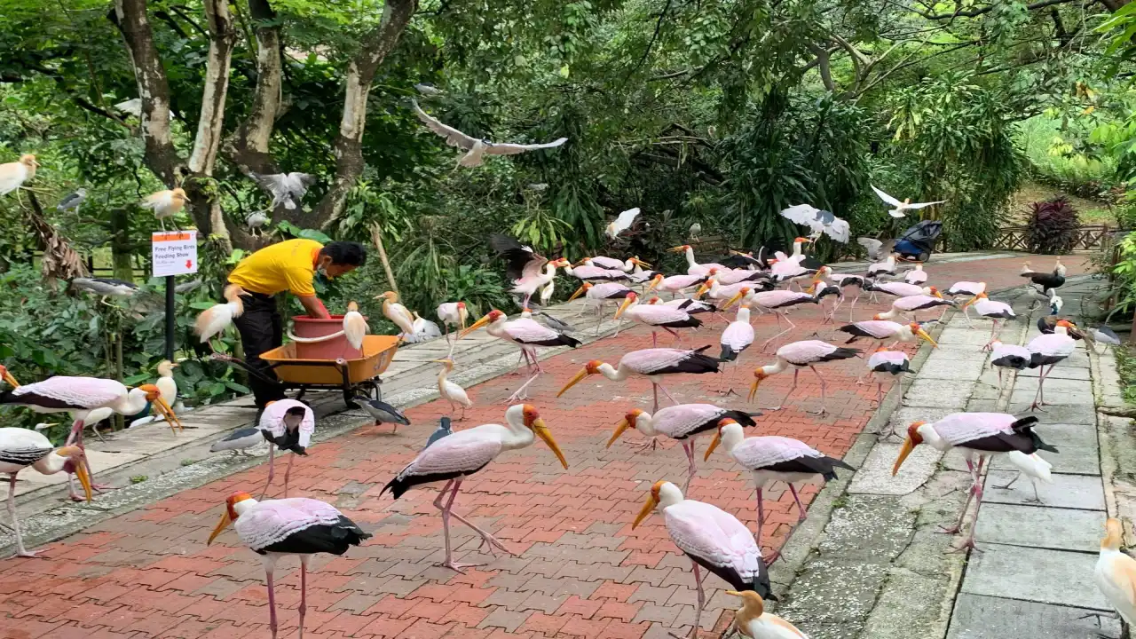 KL Bird Park