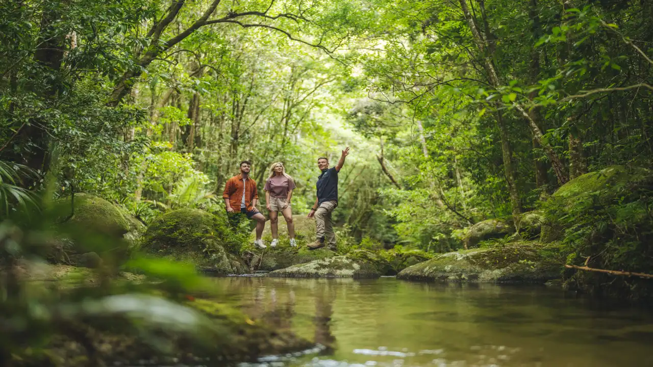 Queensland Travel Guide: Brisbane, Cairns or the Gold Coast?