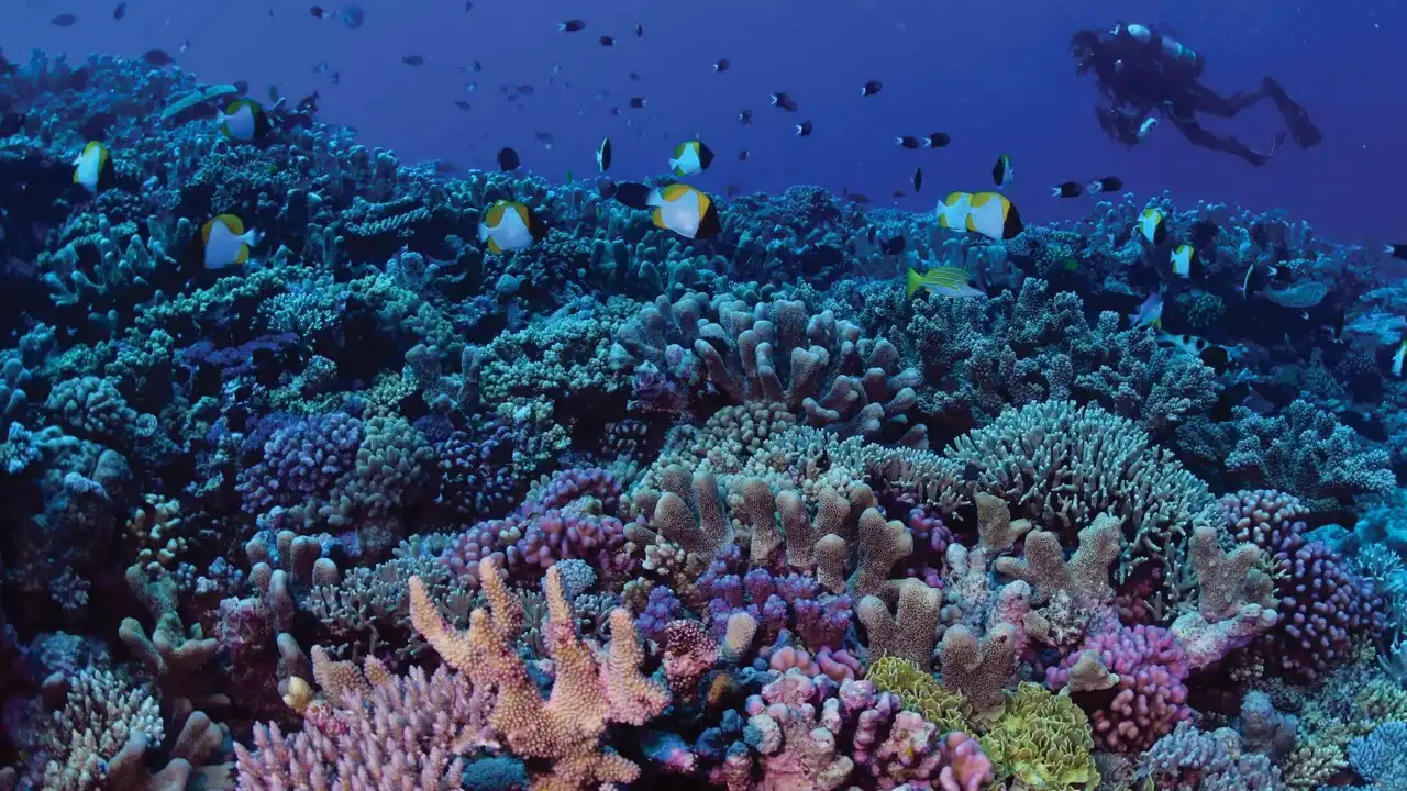 Great Barrier Reef