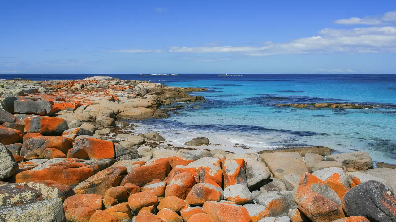Bay of Fires (Tasmania)