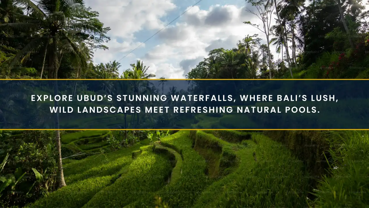 Waterfalls in Ubud: Discover Bali’s Wild Side