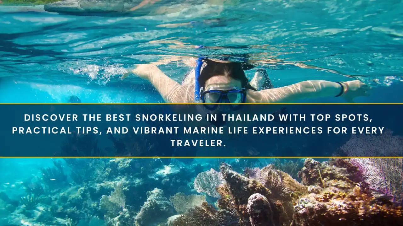 Best Snorkeling in Thailand: Top Spots, Tips, and Packages for Every Traveler