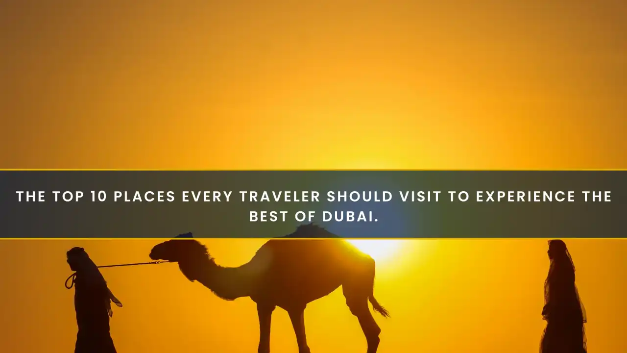 Top 10 Places to Visit in Dubai: A Curated Guide for Every Traveller