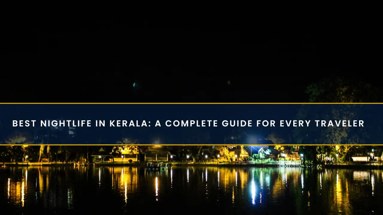 Best Nightlife in Kerala: A Complete Guide for Every Traveler