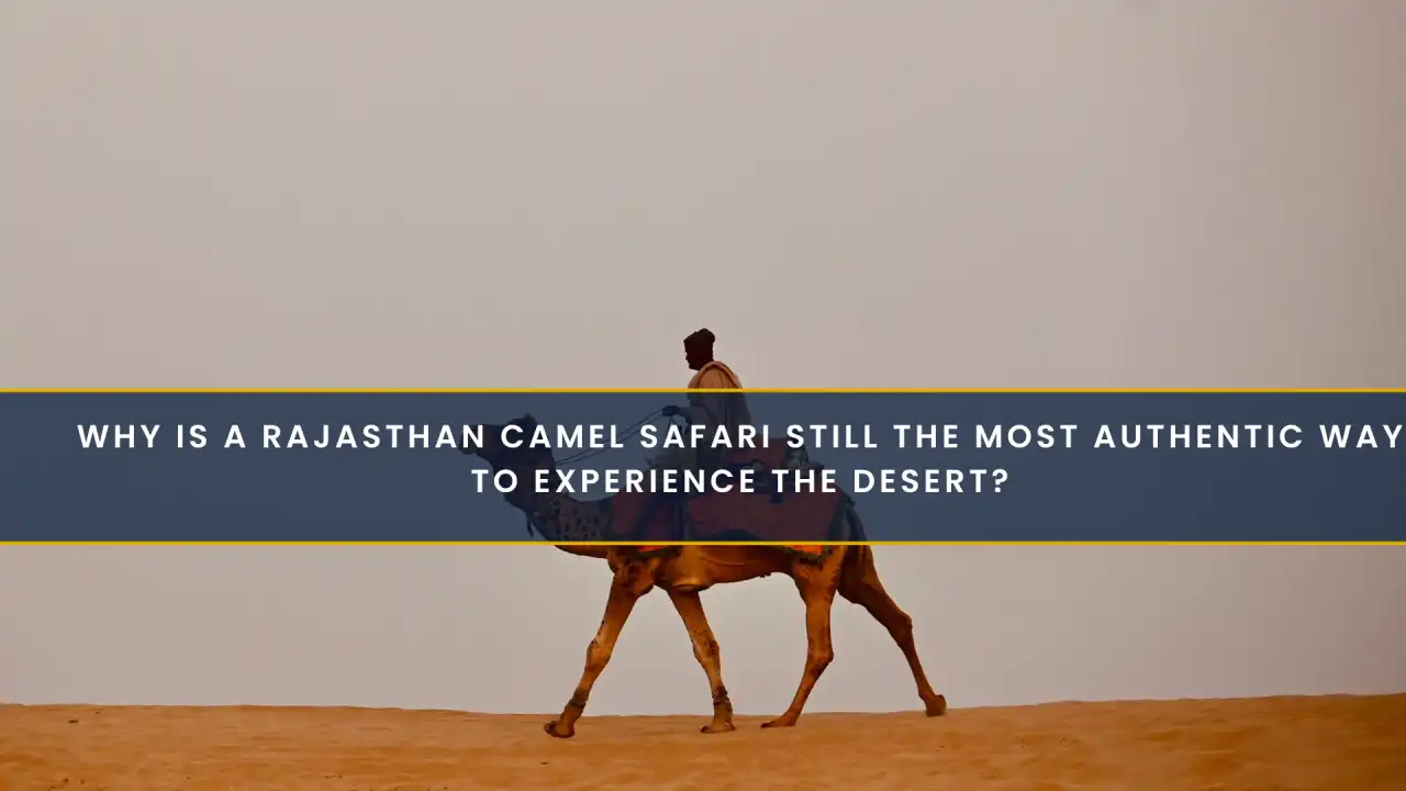 Why Is a Rajasthan Camel Safari Still the Most Authentic Way to Experience the Desert?