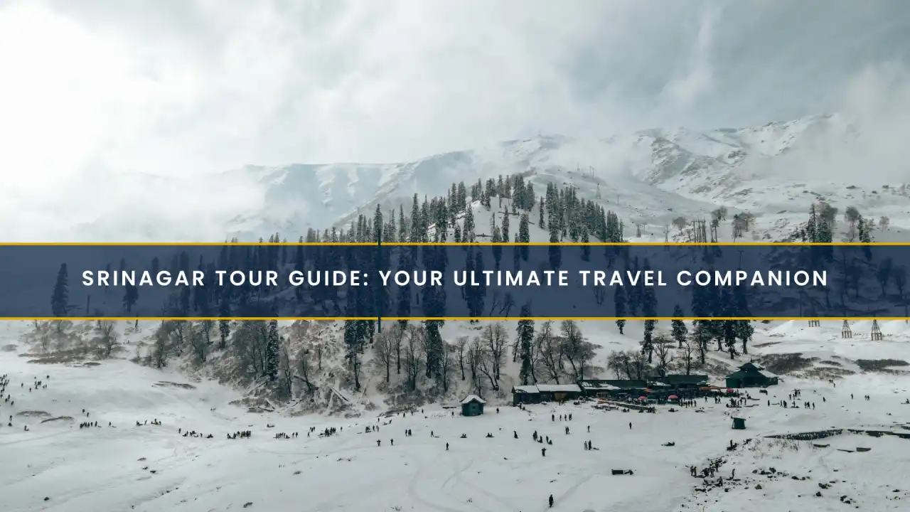 Srinagar Tour Guide: Your Ultimate Travel Companion