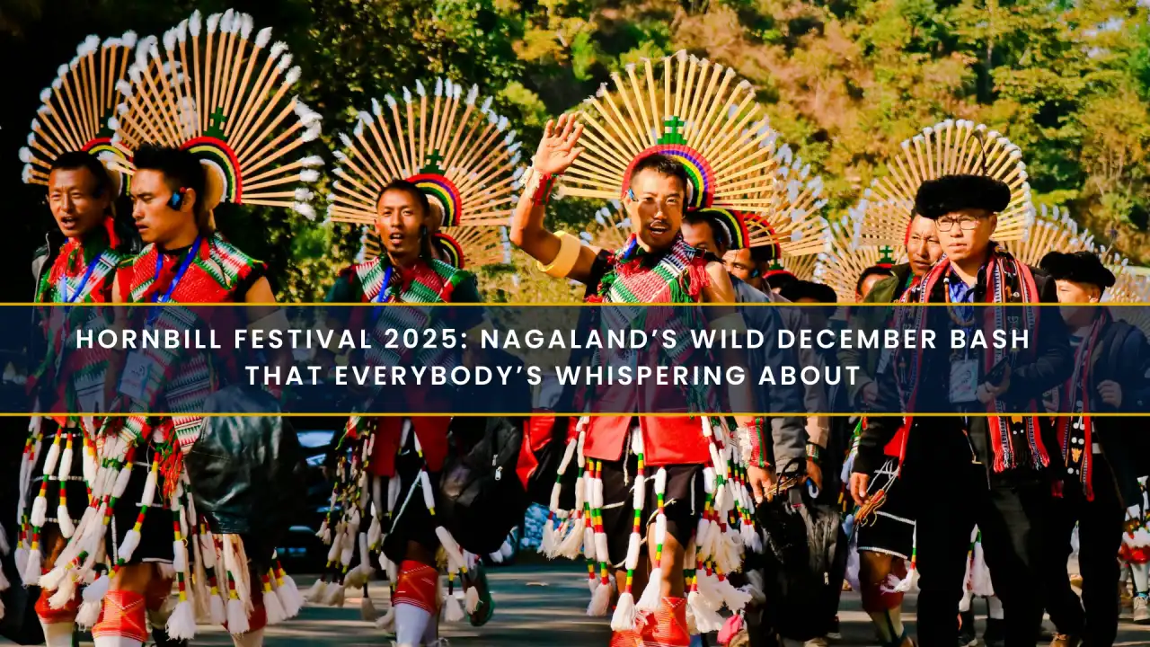 Hornbill Festival 2025: Nagaland’s Wild December Bash That Everybody’s Whispering About