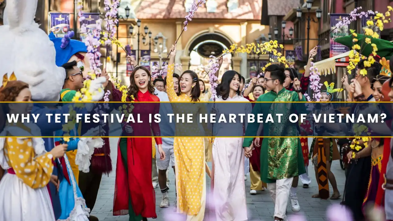 Why Tet Festival Is the Heartbeat of Vietnam