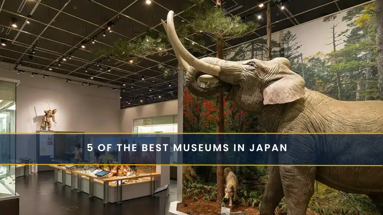 5 of the Best Museums in Japan