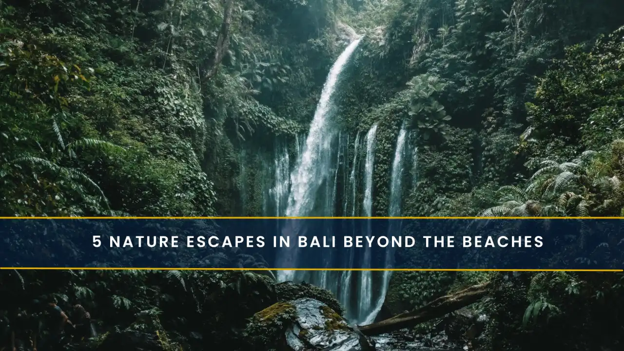 5 Nature Escapes in Bali Beyond the Beaches