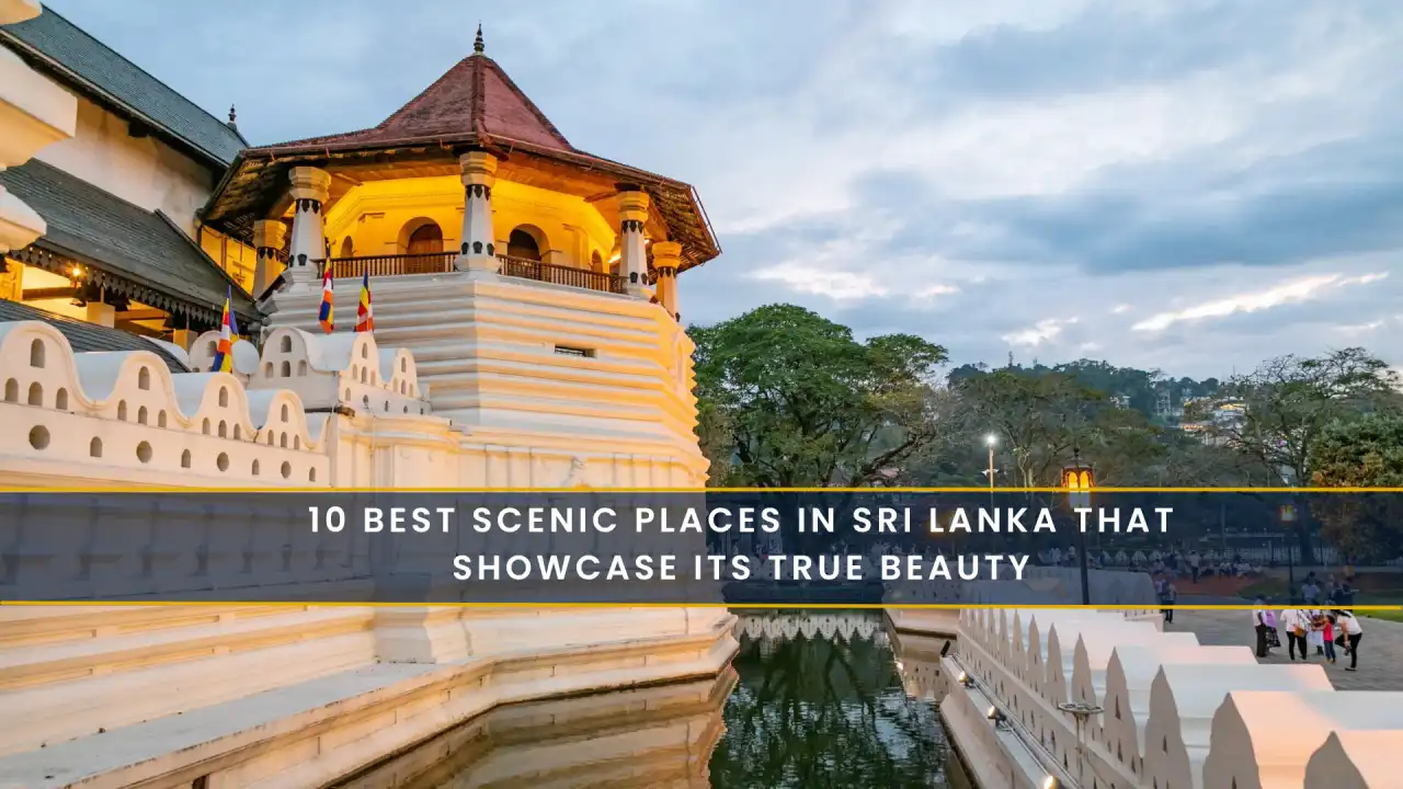 10 Best Scenic Places in Sri Lanka That Showcase Its True Beauty