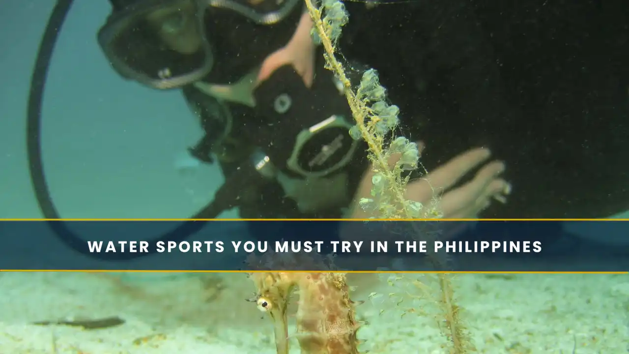 Water Sports You Must Try in the Philippines
