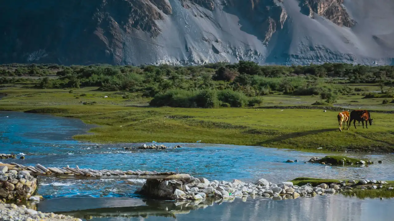 Leh vs Nubra Valley: Where Should You Spend More Time?