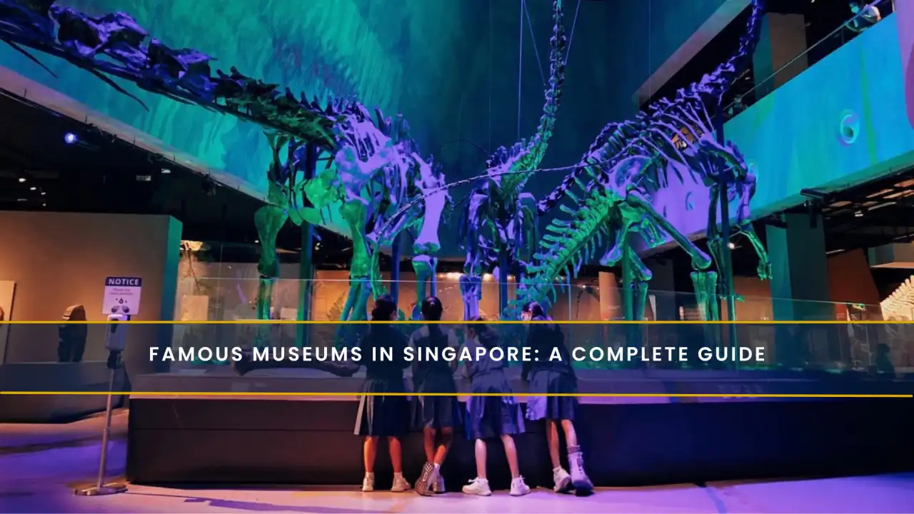Famous Museums in Singapore: A Complete Guide