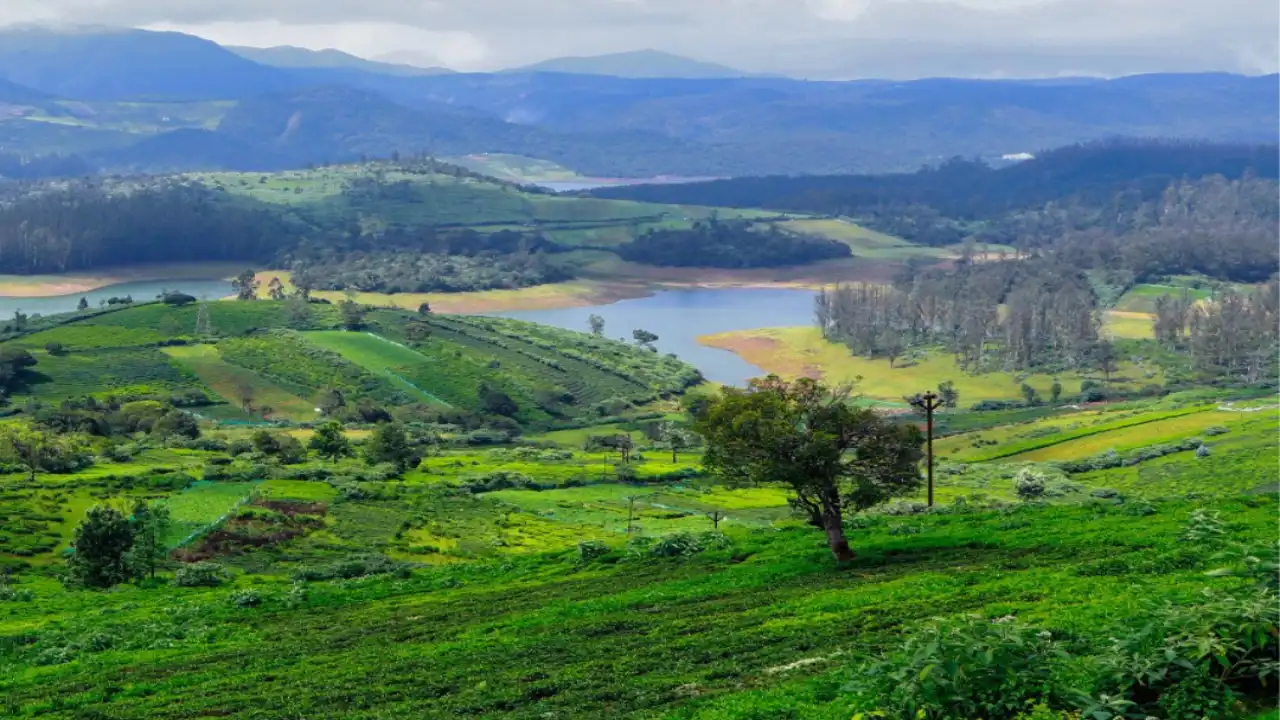 Best Hill Stations in Tamil Nadu for a Refreshing Getaway