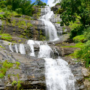 5 Days Kerala Trip: Munnar, Thekkady & Varkala Highlights