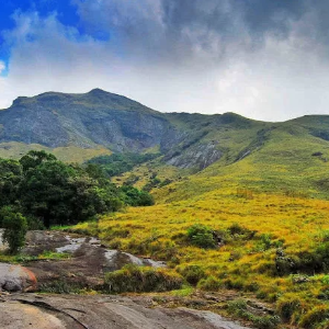 5 Days Kerala Trip: Munnar, Thekkady & Varkala Highlights