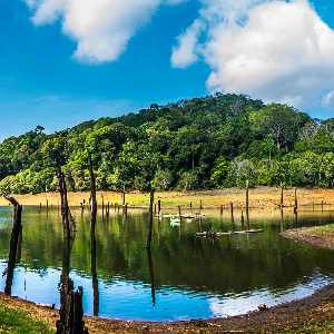 5 Days Kerala Trip: Munnar, Thekkady & Varkala Highlights