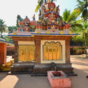 5 Days Kerala Trip: Munnar, Thekkady & Varkala Highlights