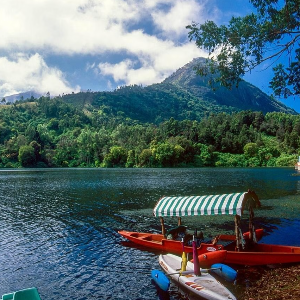 7 Nights 8 Days Kerala Itinerary: Perfect Romantic Escape for Honeymooners