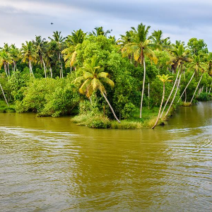 7 Nights 8 Days Kerala Itinerary: Perfect Romantic Escape for Honeymooners