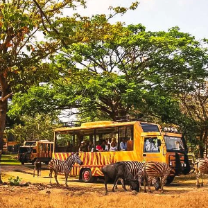 8 days 7 nights Bali itinerary: Family tour package