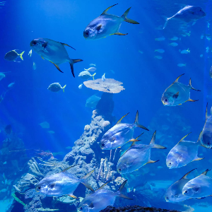 8 days 7 nights Bali itinerary: Family tour package