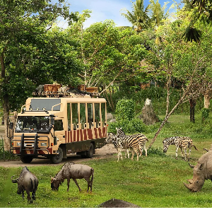 8 Days Bali Family Holiday Package