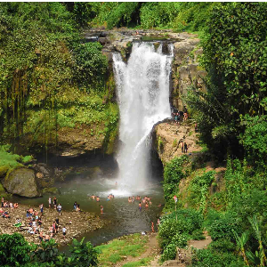 8 Days Bali Family Holiday Package