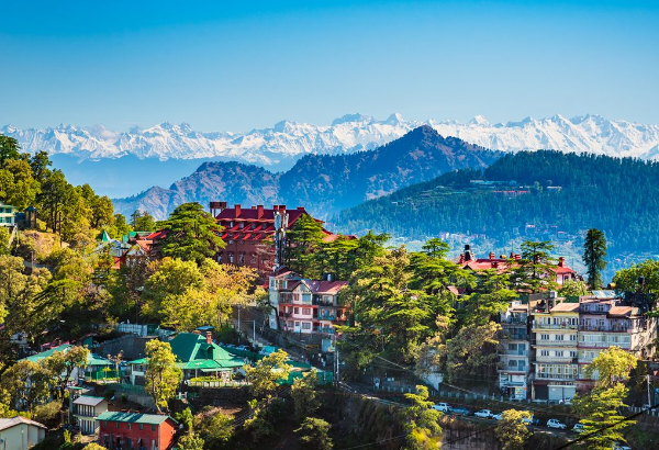 A Perfect Family Getaway: Shimla Manali Trip