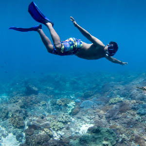 Bali Family Package: Explore Ubud, Kuta, and Nusa Penida in 6 Days