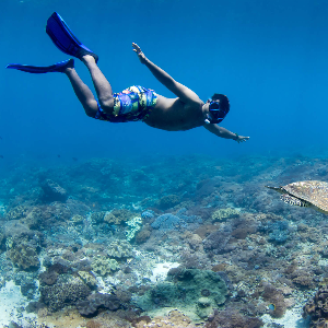 Bali tour couple package: 6 Days of romance and adventure